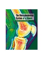 The Musculoskeletal System at a Glance,The