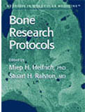 Bone Research Protocols (Methods in Molecular Medicine)