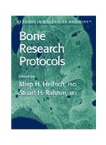 Bone Research Protocols (Methods in Molecular Medicine)