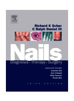 Nails: Therapy Diagnosis Surgery, 3/e