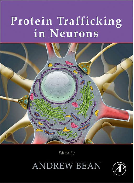 Protein Trafficking in Neurons