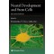 Neural Development And Stem Cells,2/e