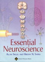 Essential Neuroscience