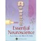 Essential Neuroscience