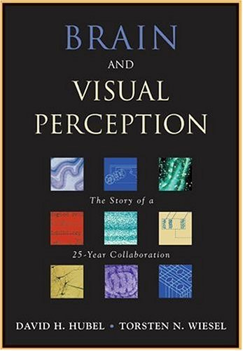 Brain And Visual Perception: The Story Of A 25-year Collaboration