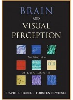 Brain And Visual Perception: The Story Of A 25-year Collaboration