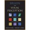 Brain And Visual Perception: The Story Of A 25-year Collaboration