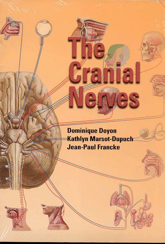 The Cranial Nerves