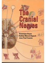 The Cranial Nerves