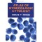 Atlas Of Gynecologic Cytology