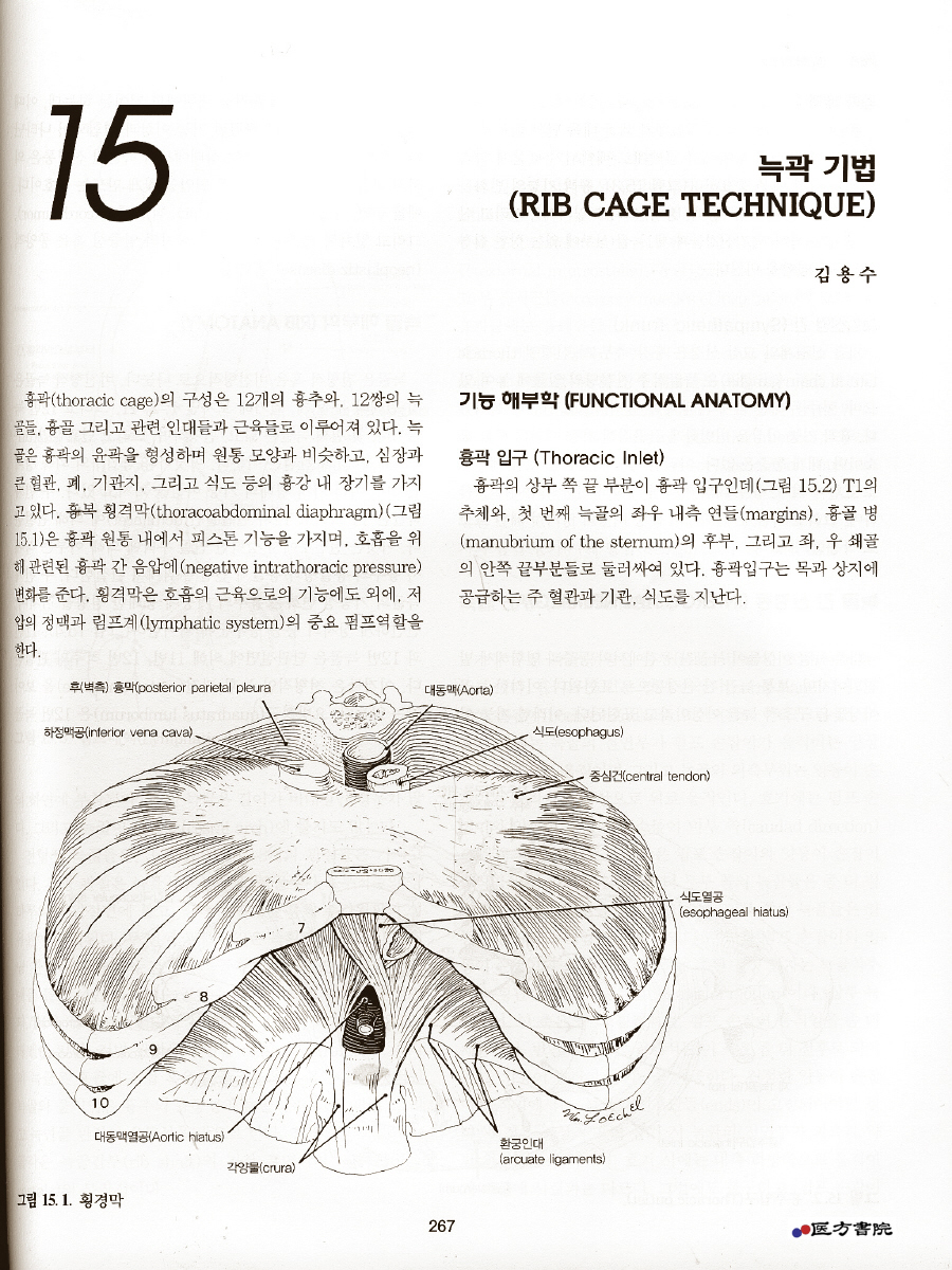 그린만의 정형물리치료학 3판 (구용어)