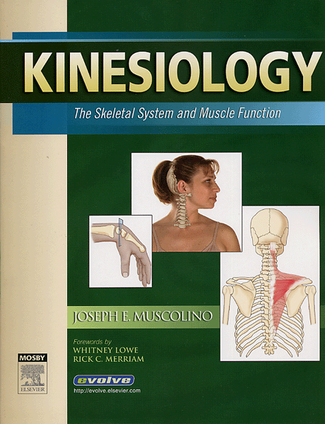 Kinesiology