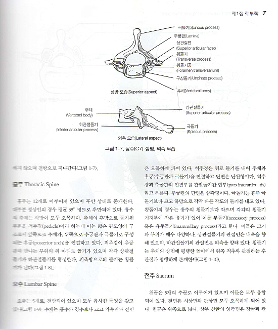 척추질환의 이해