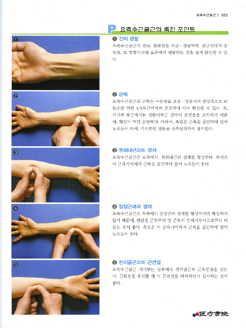 ID촉진술(Individual Muscle Palpation)