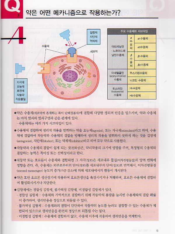 약 이야기(간호사를 위한 임상시리즈 3)