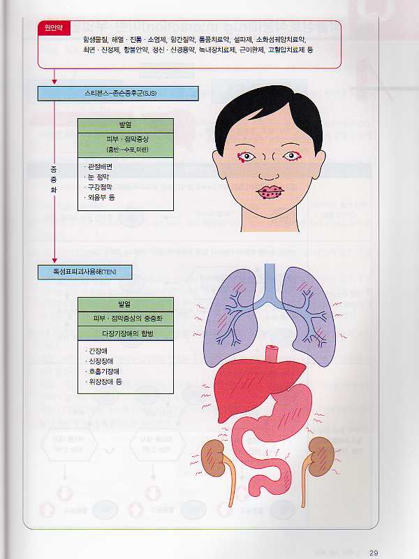 약 이야기(간호사를 위한 임상시리즈 3)