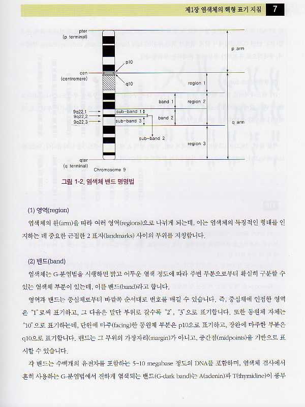 혈액종양의세포유전학