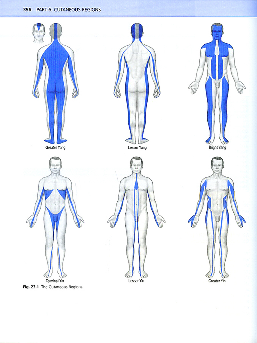 The Channels of Acupuncture Cards(경혈학)