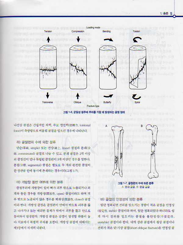 골절학제3판