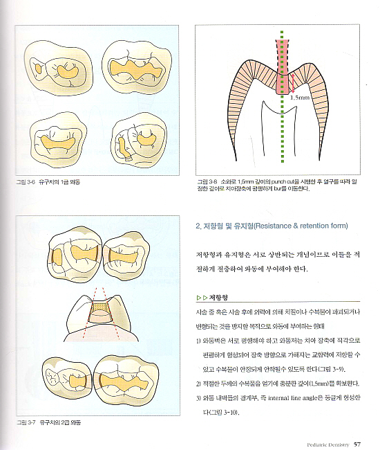 소아 • 청소년 치과학 기초 및 임상실습