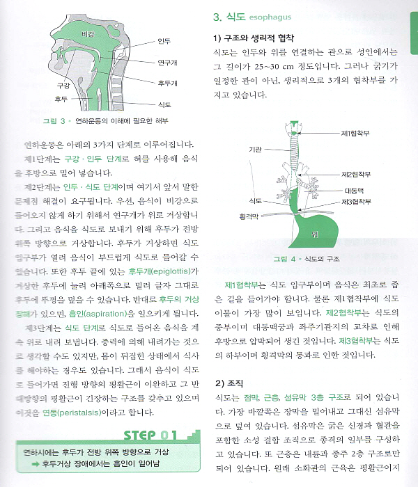 스텝내과-소화기 1