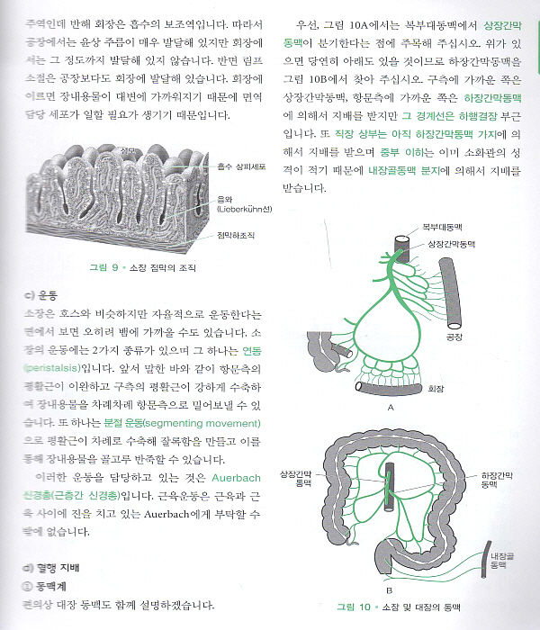 스텝내과-소화기 1