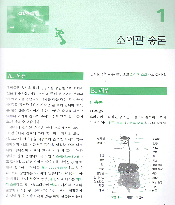 스텝내과-소화기 1