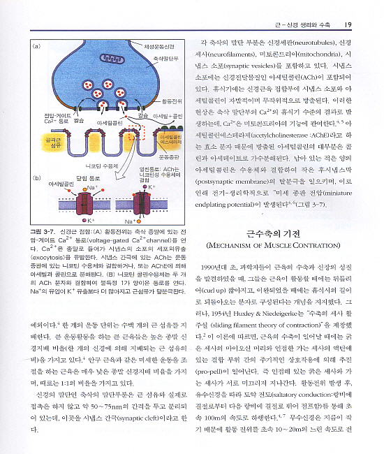 DVD로 배우는 통증유발점 및 근막통치료 (DVD1장포함)