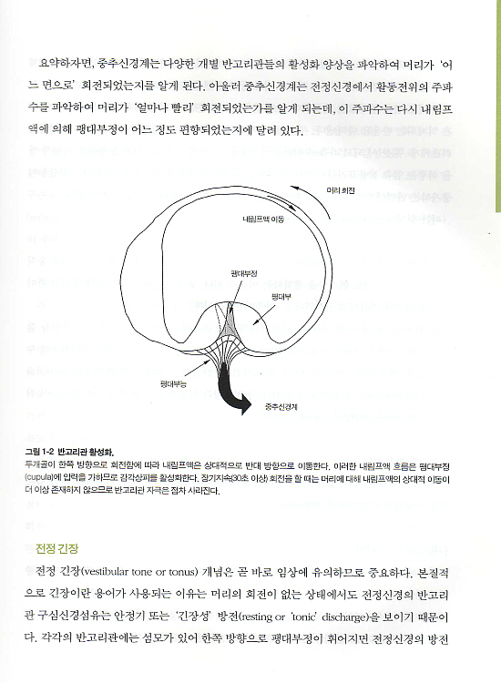 쉽게 배우는 어지럼증의 진단과 치료 - 케임브리지 어지럼증 임상 가이드 (CD1포함)