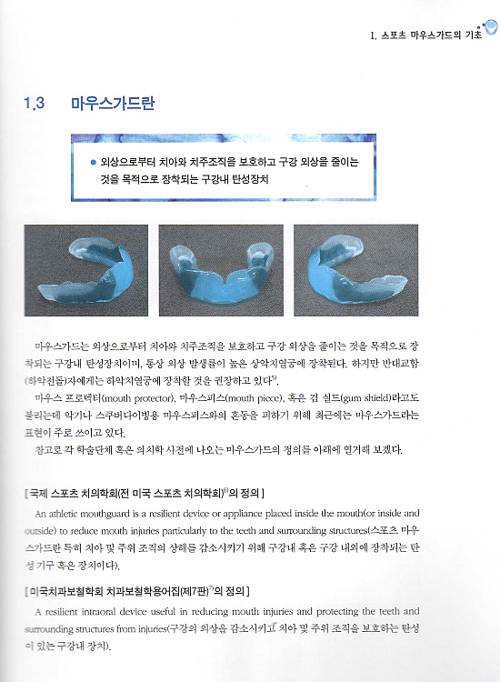 스포츠 마우스가드 핸드북