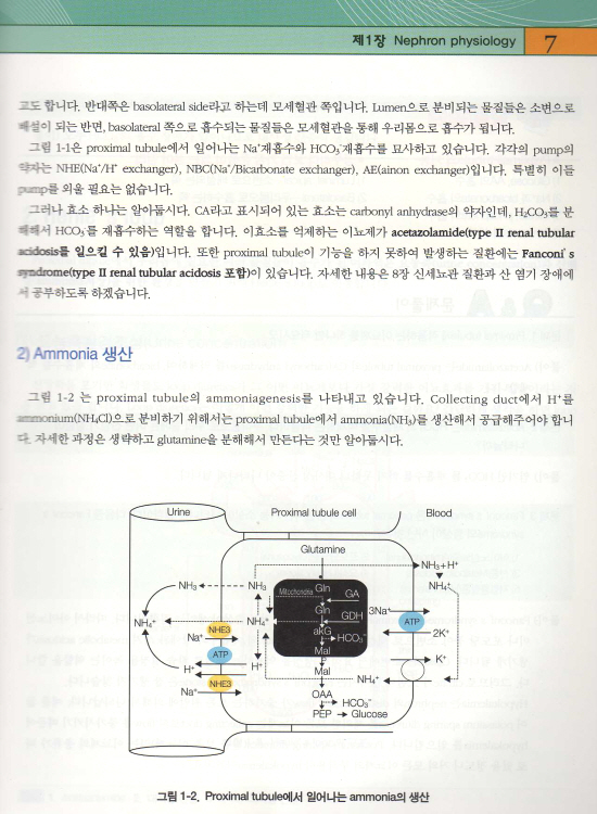 쏙쏙 들어오는 산 염기와 전해질 강의