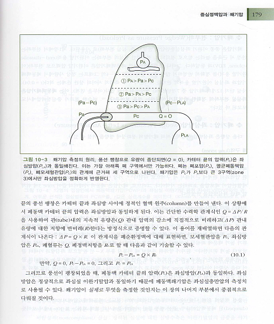 중환자치료학 (The ICU book 번역판)