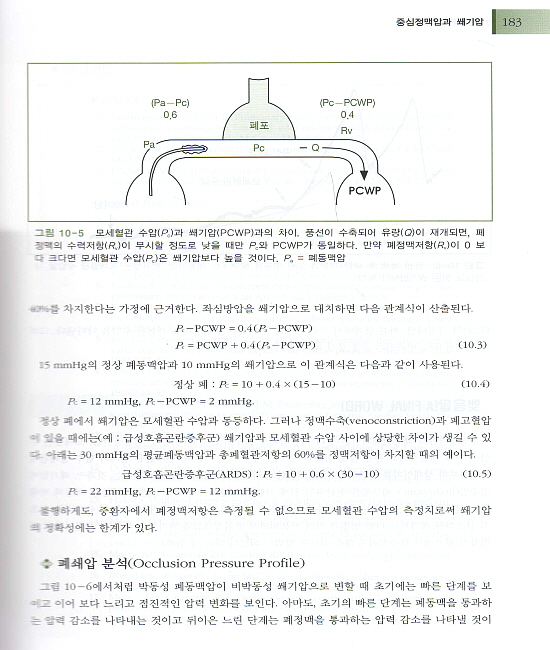 중환자치료학 (The ICU book 번역판)