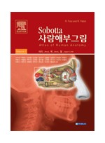 Sobotta사람해부그림 (2vols)-Atlas of human anatomy head, neck, upper limb 14h