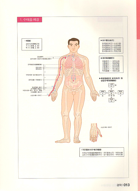 예뻐지는 성형괄사 (동영상CD1포함포함) [양장본]