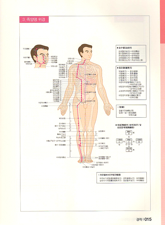 예뻐지는 성형괄사 (동영상CD1포함포함) [양장본]