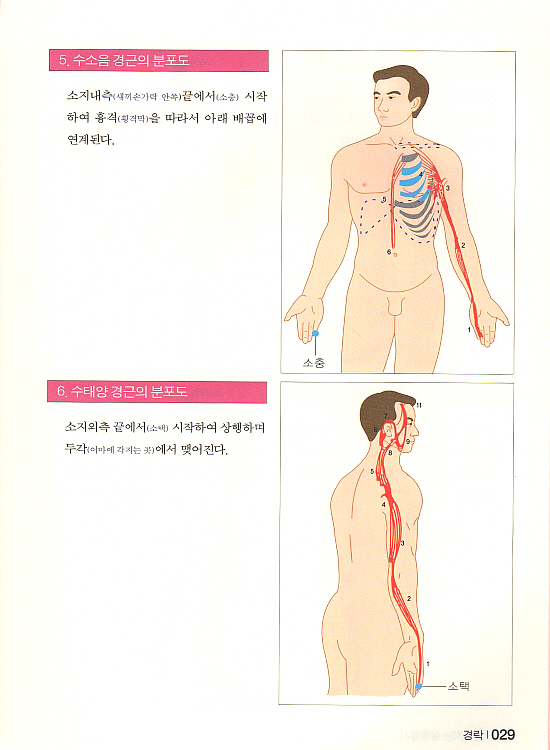 예뻐지는 성형괄사 (동영상CD1포함포함) [양장본]