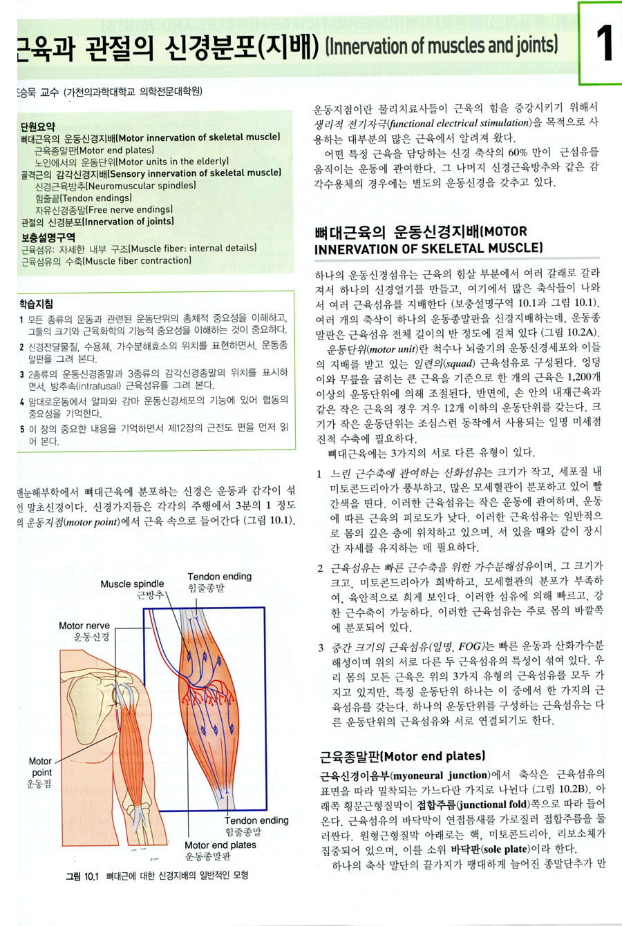 통합강의를 위한 임상신경해부학(5판)-Clinical Neuroanatomy and Neuroscience