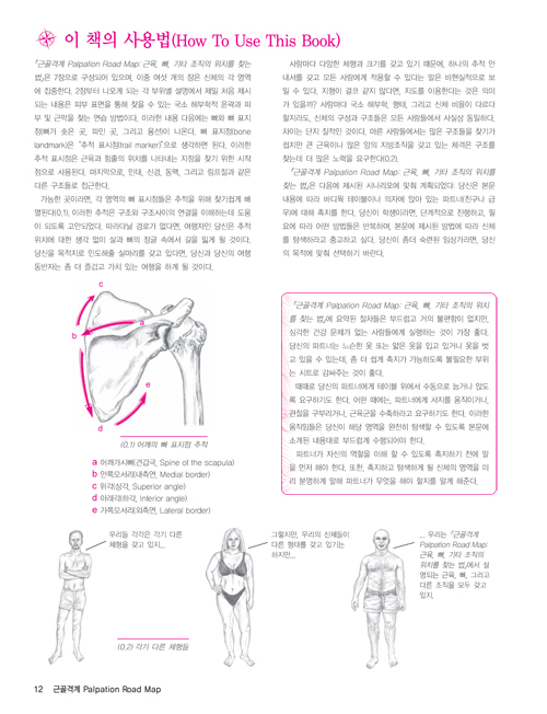 근골격계 Palpation Road Map(3판)