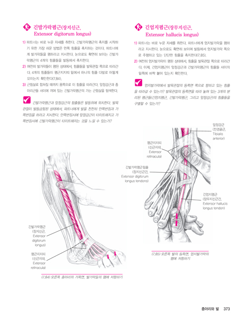 근골격계 Palpation Road Map(3판)