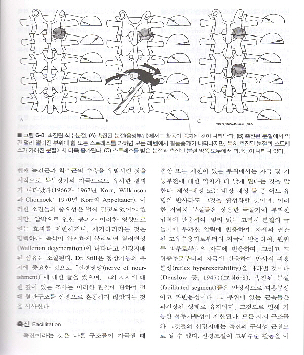 정골의학 도수치료기법의 완성