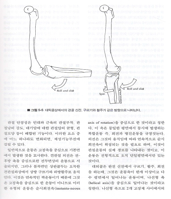 정골의학 도수치료기법의 완성