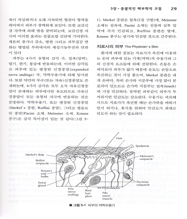 정골의학 도수치료기법의 완성