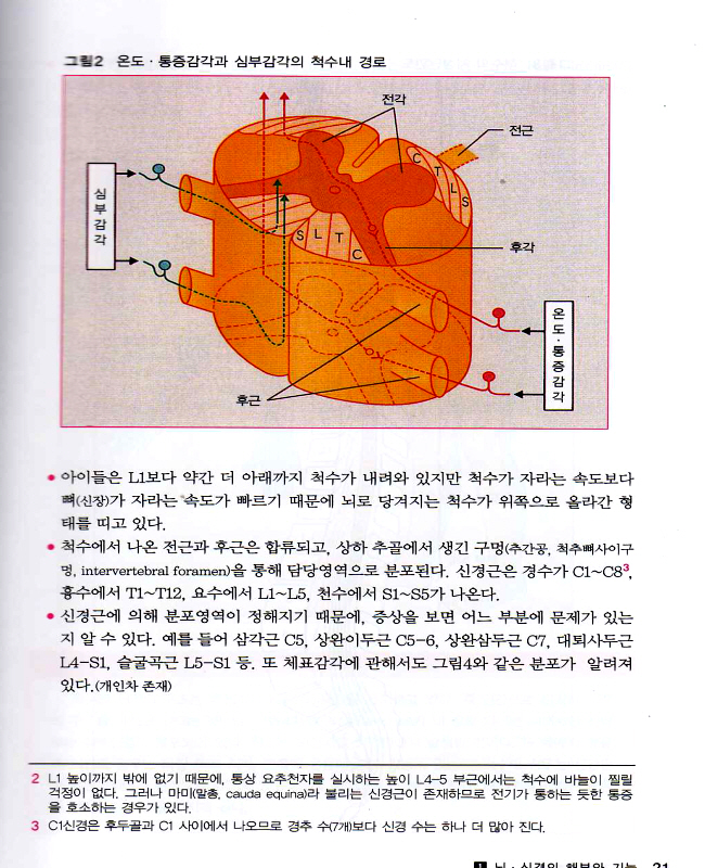 뇌신경계 간호 (간호사를 위한)