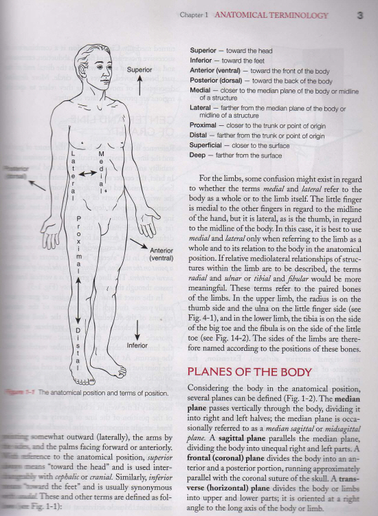 Hollinshead's Functional Anatomy of the Limbs & Back,9/e