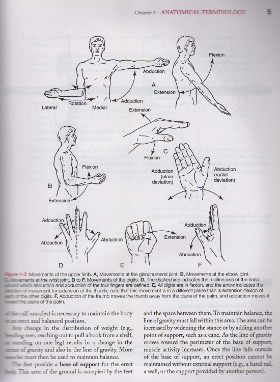 Hollinshead's Functional Anatomy of the Limbs & Back,9/e