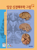 임상신경해부학그림(제3판):The Human Brain in Photographs & Diagrams