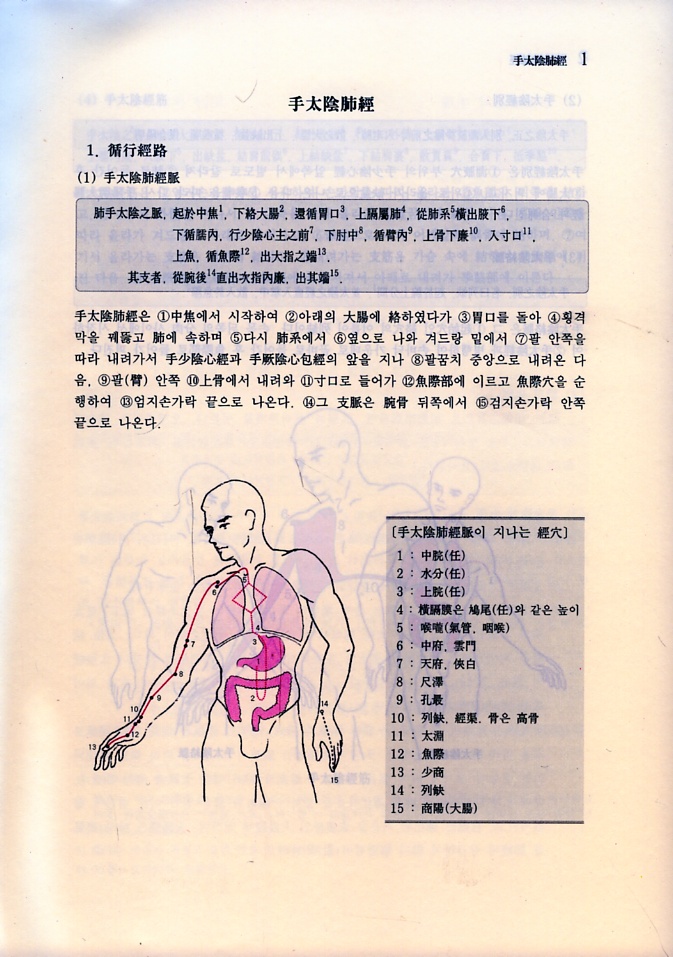 대학경락경혈학 각론 上 ,下