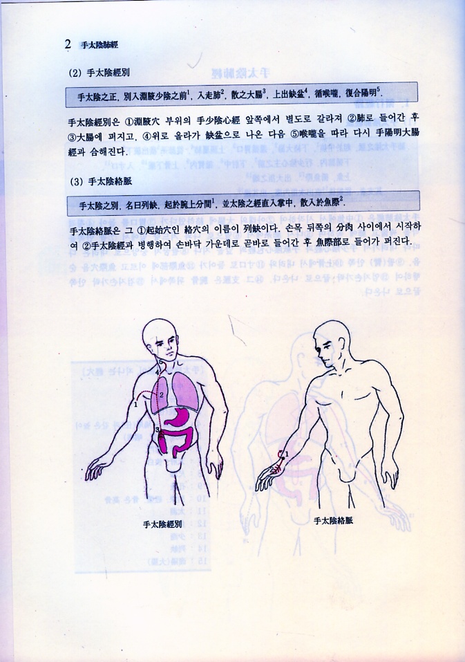 대학경락경혈학 각론 上 ,下