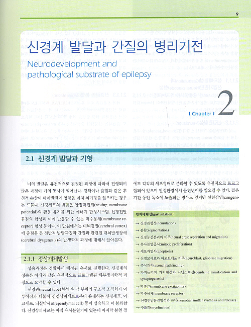 임상간질학 Clinical Epilepsy